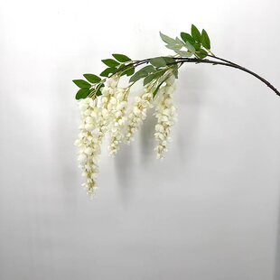 ���滱���������ټٻ������͏d��c�b�ˇ�[���߼��з��滨