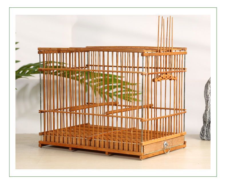 87f1c424-ab18-43ee-baed-44013aa22e5b.jpe