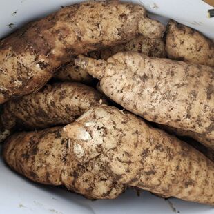 �F��ʡ�󷽿h���r�����ɽ�����r�F�ڮ�����]�l؛���҂��ǃ���Ŷ