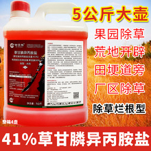 41%�ݸ�좮������}���݄��rș�ݸ��׳��ݠ����������ݸ�Ч����