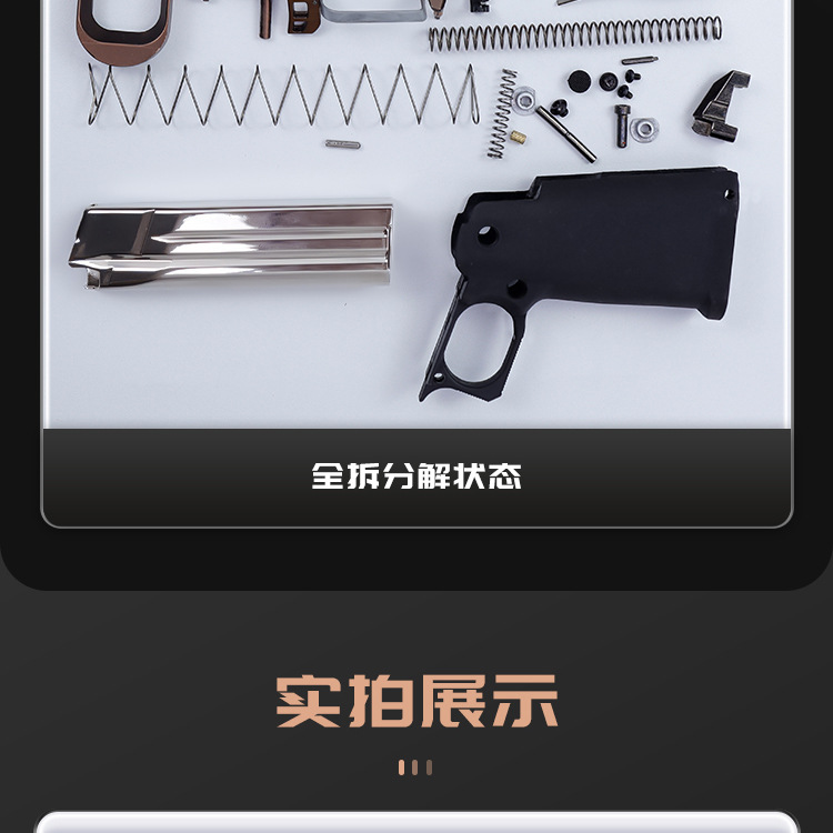 TTI Viper 2011- details page - B_02 jpg