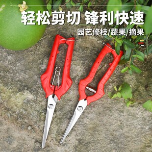 ���Ѽ�ˮ�����ü����ɹ����ӏ�����֦�߹��@ˇ��ժ��С����֦ϡ��