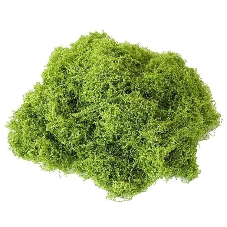 羊毛造景掉色不植物墙水陆缸假山石头仿真苔藓青苔缸藓园林雨淋|undefined