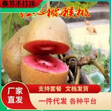 һlԼ޽ӫJҘ箔Ytꖼtď