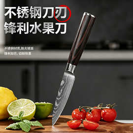 不锈钢厨房刀具家用水果专用削皮刀水果刀切菜加长锋利瓜果刀
