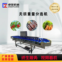 果蔬自动称重分选称 称重皮带机重量分拣机自动检重秤动态皮带秤