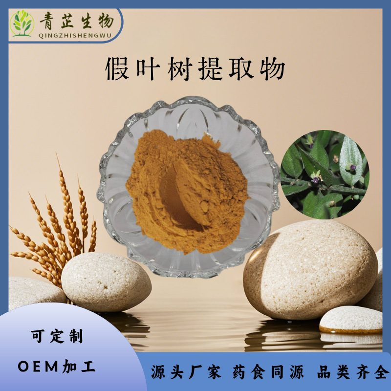 假叶树提取物 10:1 假叶树粉 水溶粉  喷雾干燥 浸膏 提取粉