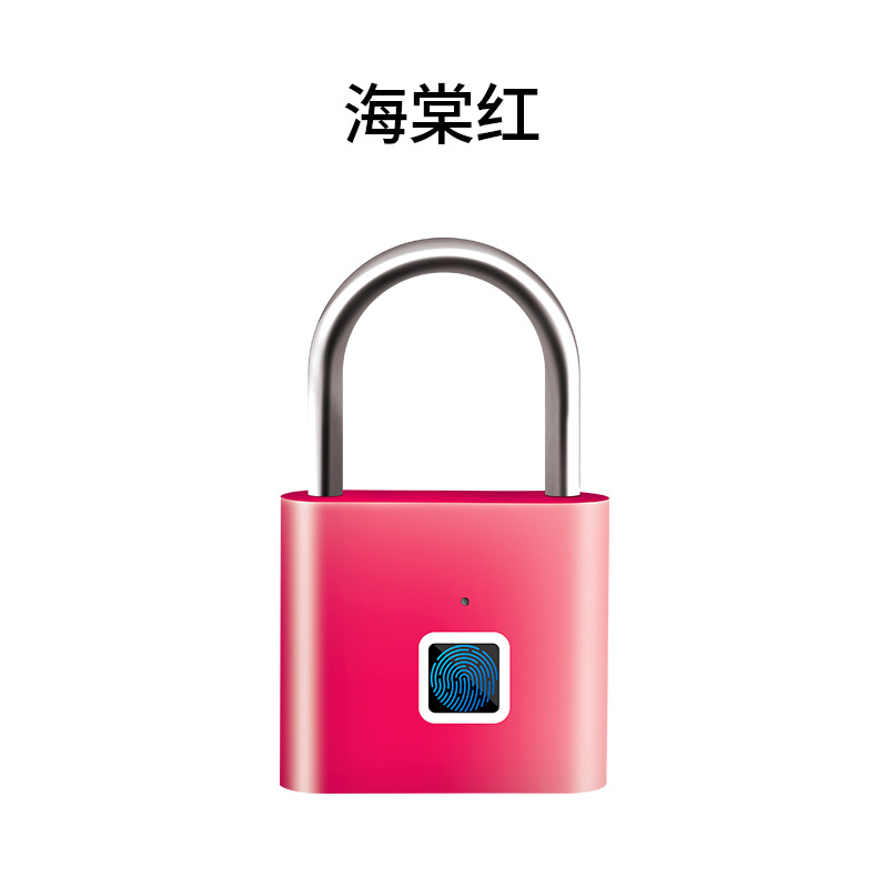 ZWGS-02 사각 베고니아 레드 지문 자물쇠