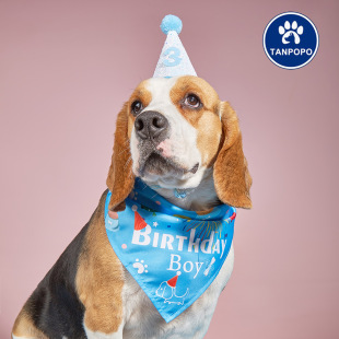 Factory Direct Sales Cross-Border Cartoon Pet Birthday Saliva Towel Dog Triangle Towel Pet Birthday Hat Accessories