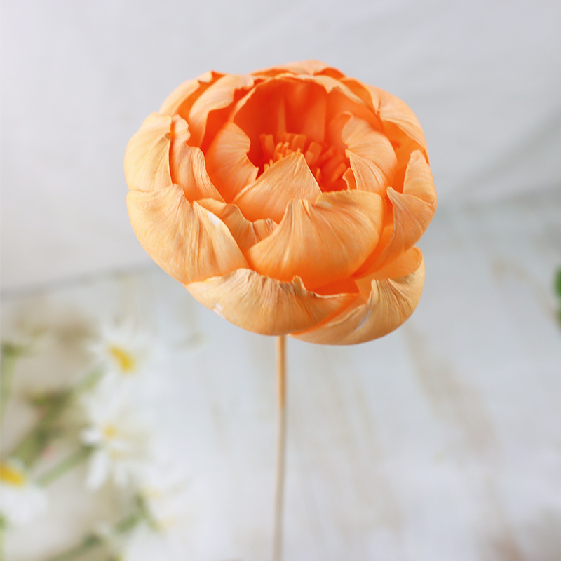 Una flor de peonía de color naranja claro