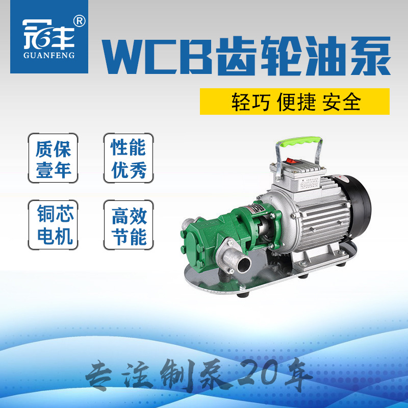 手提齿轮油泵 WCB-75 重型 铸铁材质 质保壹年 诚信保障