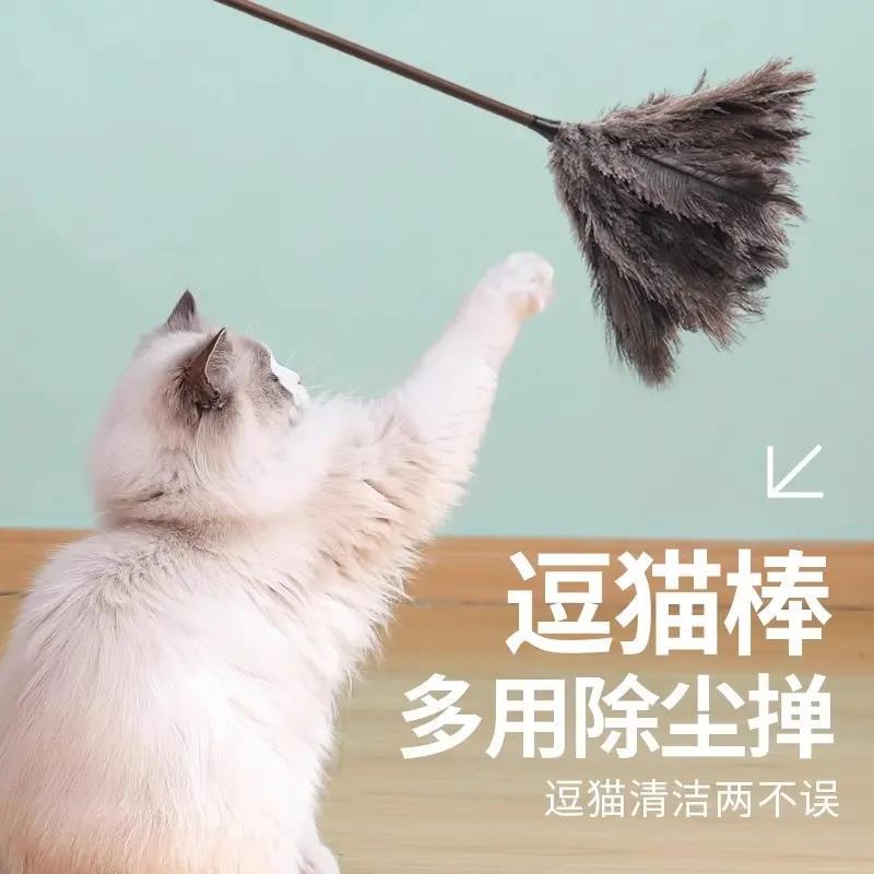 Ostrich feather cat teasing stick, cat scent enrichment, ostrich feather duster, feather sniffing, enrichment, natural ostrich feathers, cat teasing stick