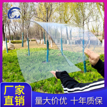���������l ͸�����Ĳɹ�� 3mm ���� �����ꖹⷿ�S��