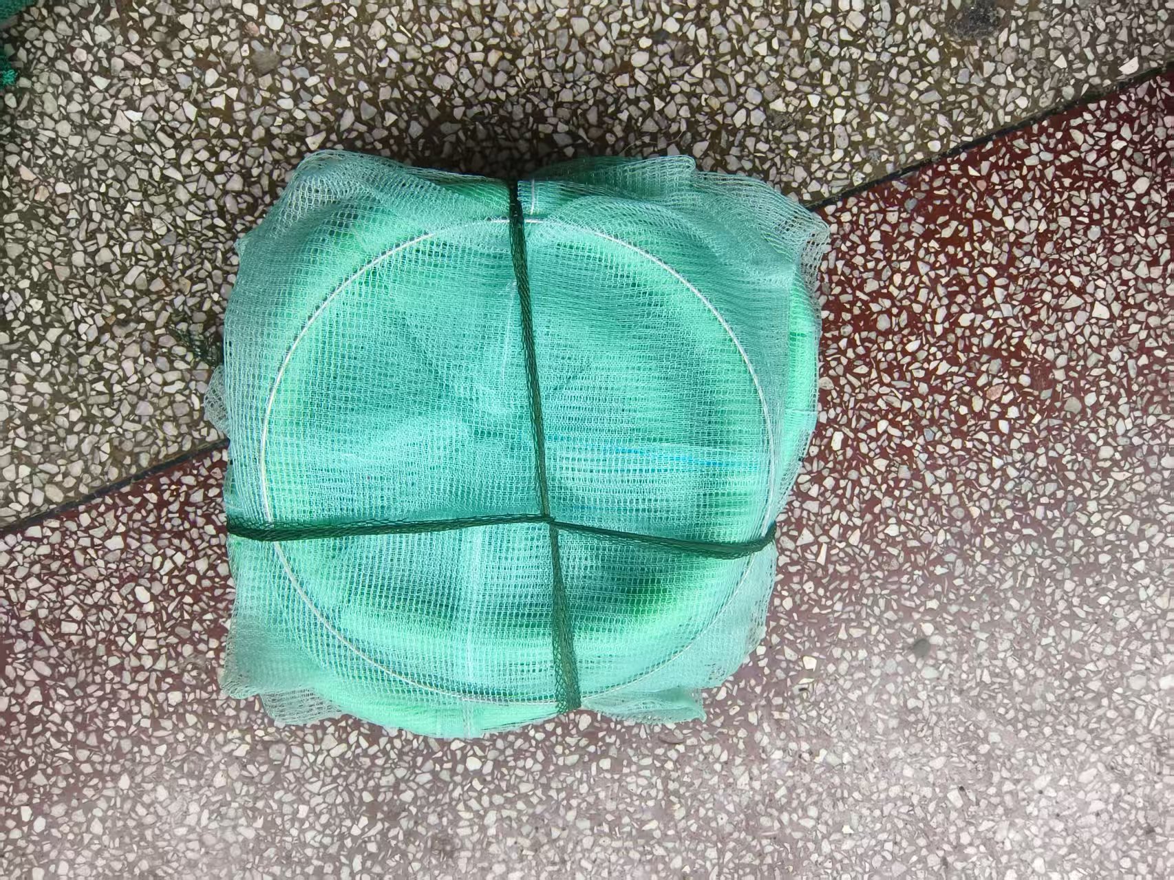 微信图片_20250227142651