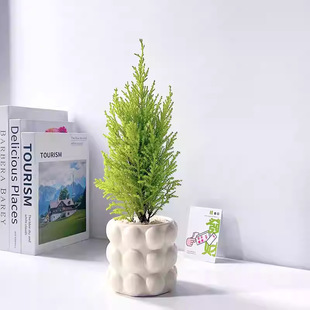 �����k���ҾGֲ�����՚��������^���B�ļ����౱�W�L�≺��������