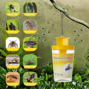 Repeated Use Fly Traps Fly Traps Traps Traps Bugs Bottles Fly Killer Flies Bottles