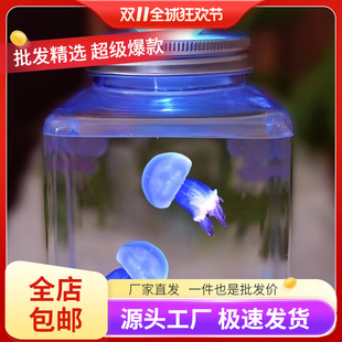 ���lˮĸ�����ˮĸ�l��ˮĸ����W����ͯ���BС����С����