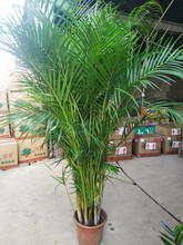 ����ɢβ�����������������Pβ���҃Ȼ��ܾGֲ����Ҭ�Ӵ��Ϳ͏d��