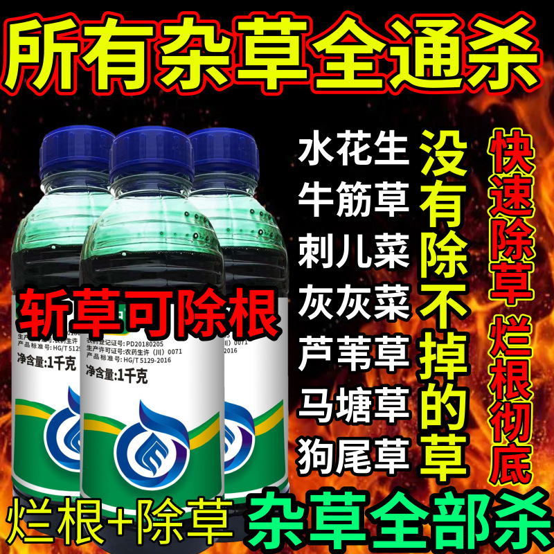 所有杂草全通杀死根草剂斩草除根荒地果园专用除草剂草铵膦除草