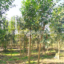 ۺϴ~Ůؑ ŮؑŮؑŮؑߗUŮؑ @־Gľ