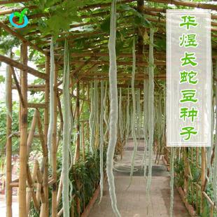 �߶��߹ϷN�� �����L���� �ﲥ�N�� �ļ��߲˷N���＾�N �ڸк�