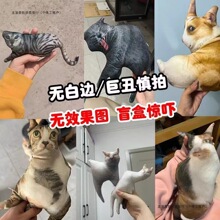 ˇ�g��؈����DIY����o��߅���α����n������ͨ���նY��ɐ���ż