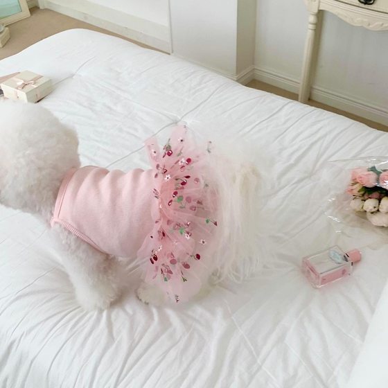 Spring and summer new dog puffy skirt cat teddy bear Yorkshire boomey skirt cherry print clothes