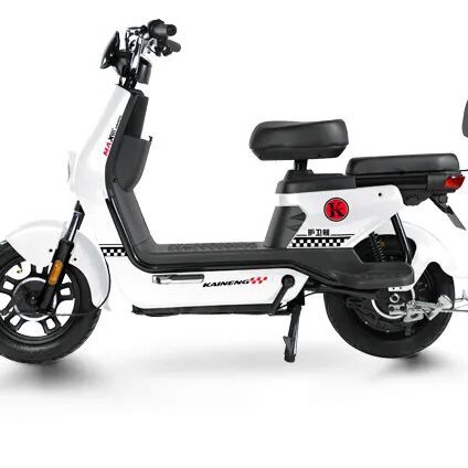 electric electric car for adults