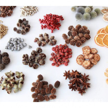 �ɹ��b��}�Q��Ұ�������ɻ���֦�׃��@�ɹ��ֹ�diy��ɹ�������