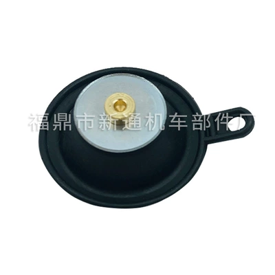 Kit for: Motuoche Carburetor