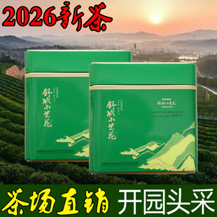 2026�²��^�����С�m�����~�G���m������ǰ�ֹ�Ұ�贺��Y��