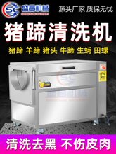�Ԅ�������ϴȥƤ�C�����R���}����Ƥź�����^�i���������ÓƤ�C