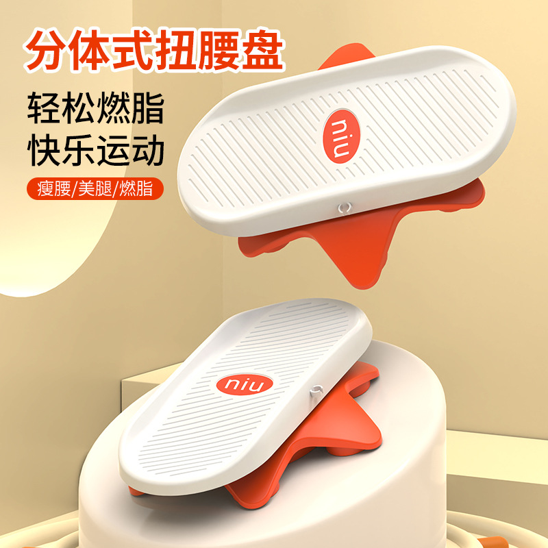 Manufacturer Wholesale New Waist Twisting Disc Double Pedal Separate Fitness Waist Twisting Machine Dancing Turntable Sports Equipment