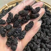 代发大粒新疆野生桑葚干黑桑葚黑桑椹干无沙果干泡水即食天然
