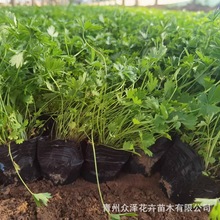 ���~ί������N����¶���ԷN���������޸��ر������ݱ��ɻ���