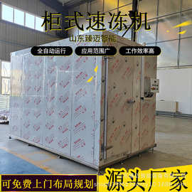 定制柜式速冻机 包子春卷压缩机式速冻设备  小型实验用速冻装置