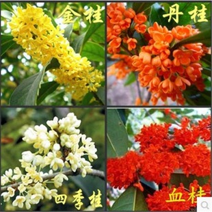 �𻨘����ļ������¹�����ֲ���҃��̨�S�������̨�w��������