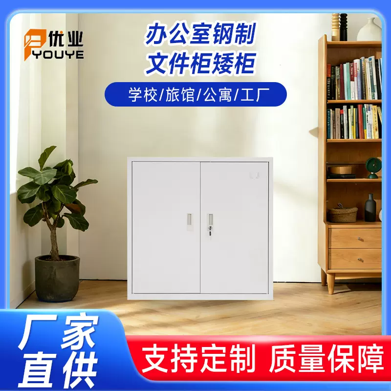 办公室钢制文件柜矮柜对开门带锁办公资料柜工具柜桌下收纳柜子