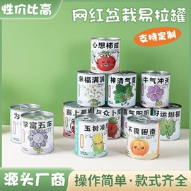 盆栽;盆景;金属罐