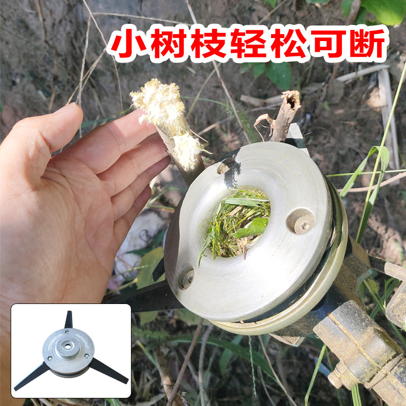 详情09.jpg