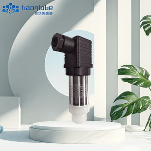 Ceramic Capacitive Pressure Sensor Pressure Transmitter for Oil and Gas Industry Marine Industry Haohua