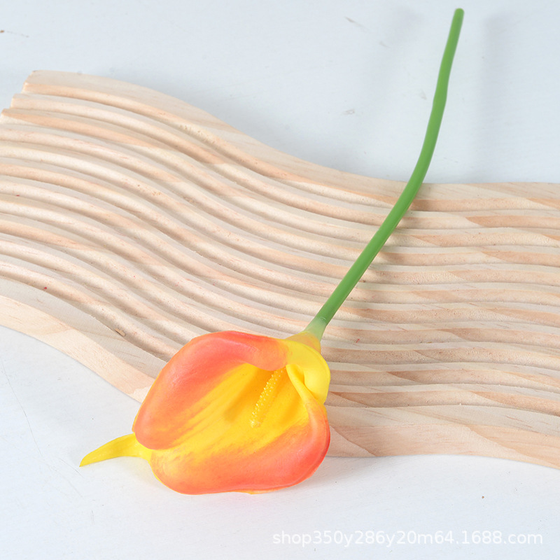 선셋 레드(노란색 코어)