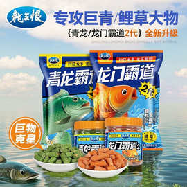 龙王恨龙门霸道二代巨青鲤草皮筋颗粒打窝挂钩两用野钓青鱼草鱼