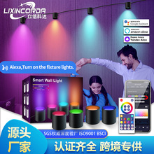 LED涂鸦智能壁音乐同步家居装饰WiFi 壁灯与Alexa多色壁灯 LED 灯