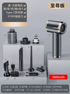 Tozsoranlar — Blowing - brushless-top-accessories-2-filters-storage-bag-floor-brush