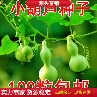 �߲˷N�Ӵ��ﲥ�Ϲ��N�ӽz�϶����S������Ϲ������J�N������ˮ��