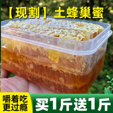 FСȻ䳲۽ų500gҰrԮaCǰL