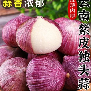 ������^���^������r���߲�ֱ�N��Ϫ�����Ƥ10�tƤ����خa