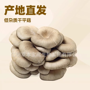 ���S�F؛ƽ�����������ӌ��w��؛ɢ�bʳ�þ�Ģ�����������a��ֱ�l