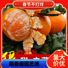 һ�����l�޽�������ɳ�����Ә���o�������ϱ����NֲͥԺ���Ե���